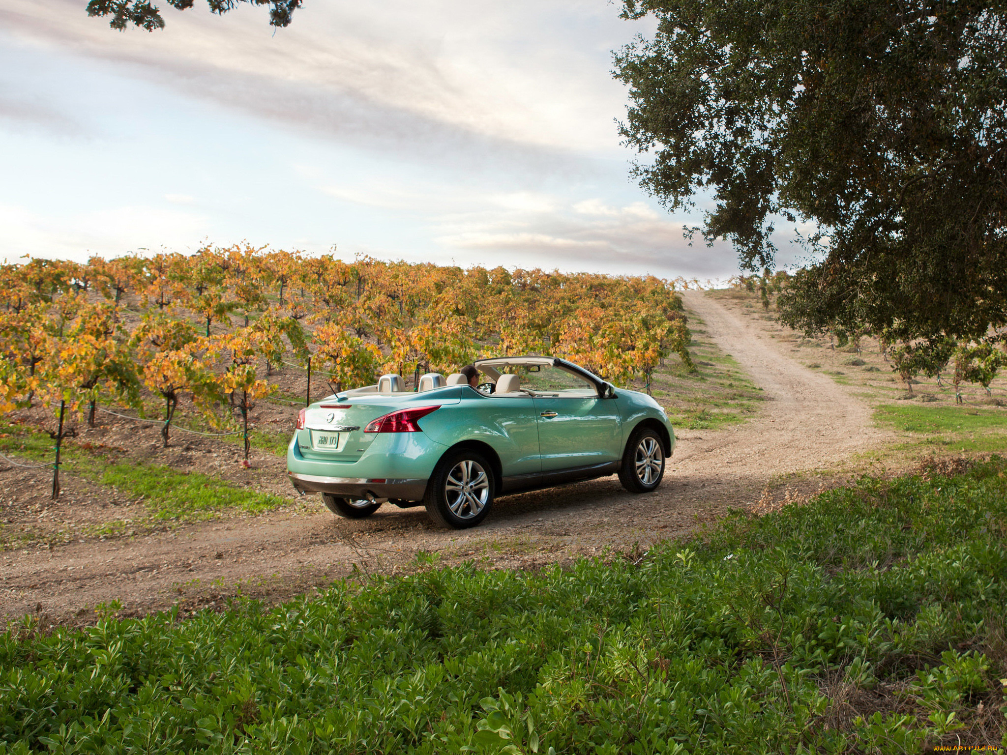 murano, crosscabriolet, 2011, , nissan, datsun